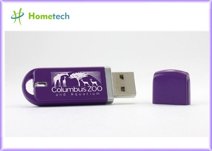 Het Plastic USB-flashstation van de fabrieksprijs met Embleemdruk 8GB/16GB/32GB voor bedrijfsgiften