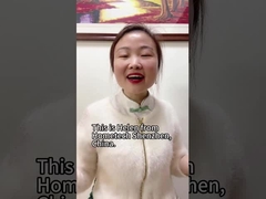 CNY vakantie kennisgeving: gesloten 3-19 februari Gelukkig Chinees Nieuwjaar!